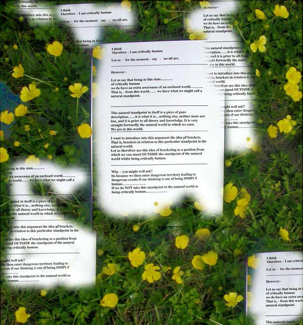 critical lens essay on romeo and juliet critical lens essay on romeo and juliet